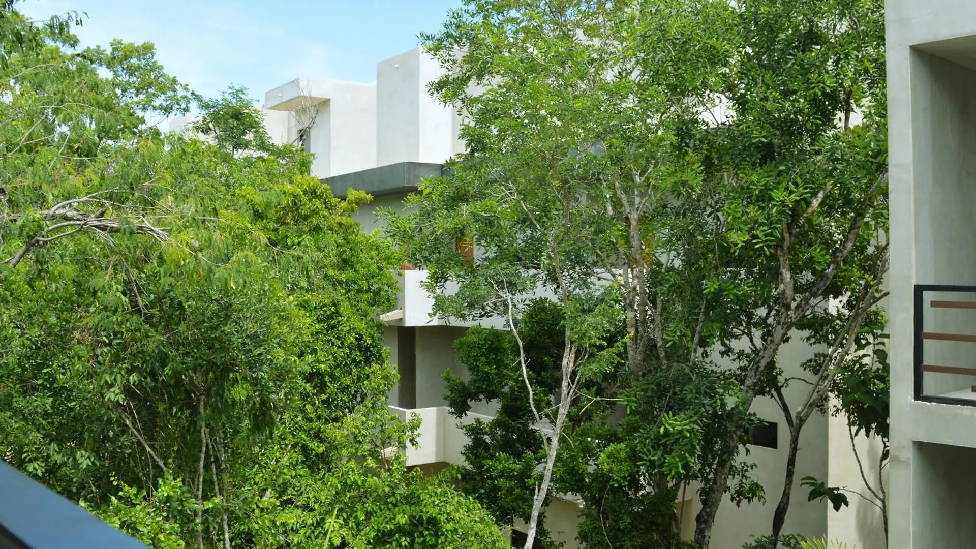 Apartament Melaan Jungle Retreat For Adventurers And Private Plunge Pool Tulum Meksyk