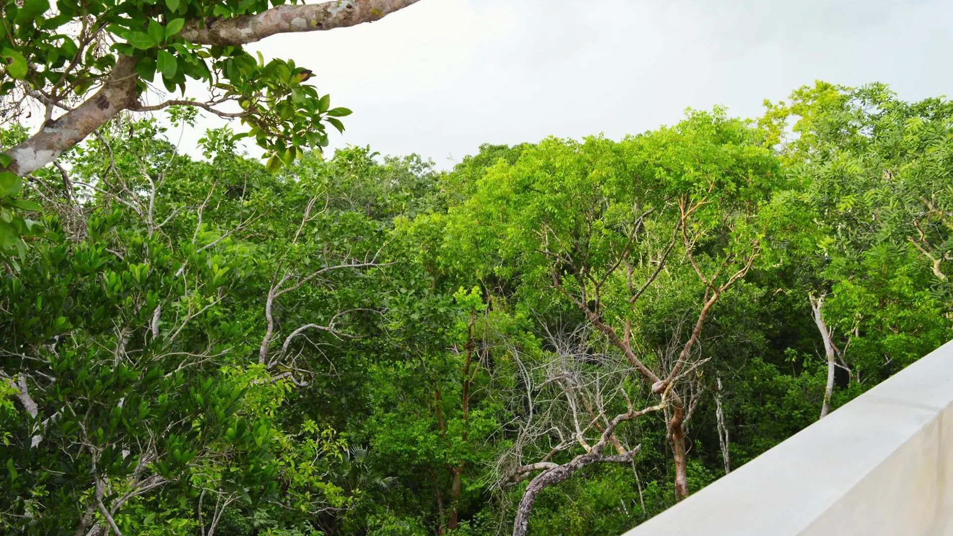 Apartament Melaan Jungle Retreat For Adventurers And Private Plunge Pool Tulum