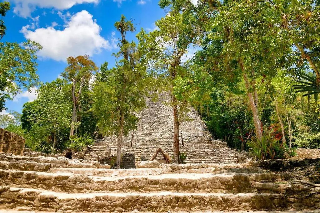 Apartament Melaan Jungle Retreat For Adventurers And Private Plunge Pool Tulum 0*,